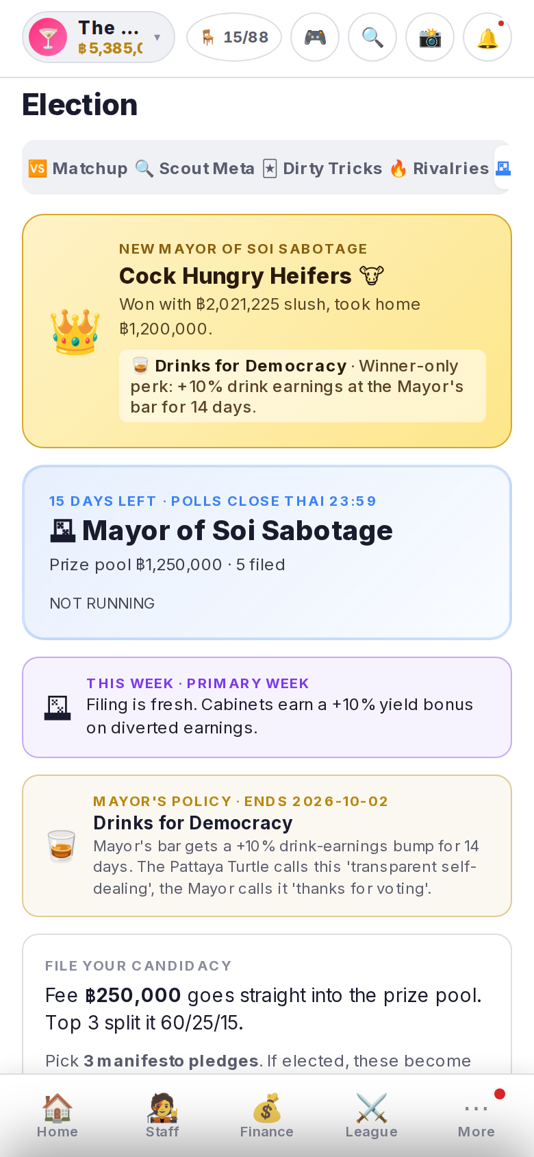 Mayor election